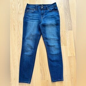 1822 Denim Skinny Jeans in Dark Blue Wash